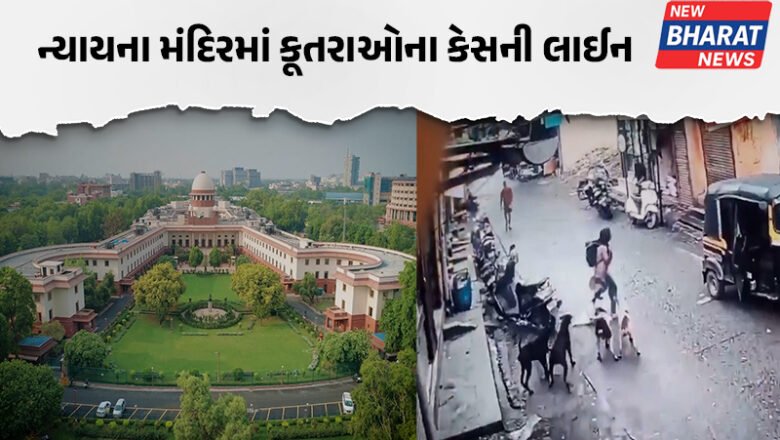 ન્યાયના મંદિરમાં કૂતરાઓના કેસની લાઈન