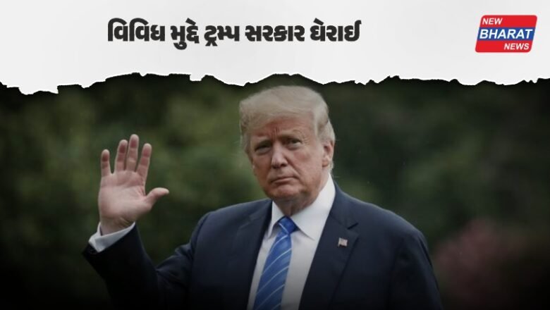 પોતાના નિર્ણયોથી દુનિયામાં હડકંપ મચાવનારા Donald Trump વકીલોથી કેમ છે પરેશાન?, જાણો