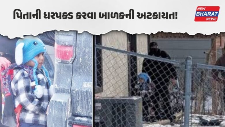 અમેરિકામાં ઈમિગ્રેશન અધિકારીઓએ વટાવી હદ! માત્ર પાંચ વર્ષના બાળકની કરી અટકાયત