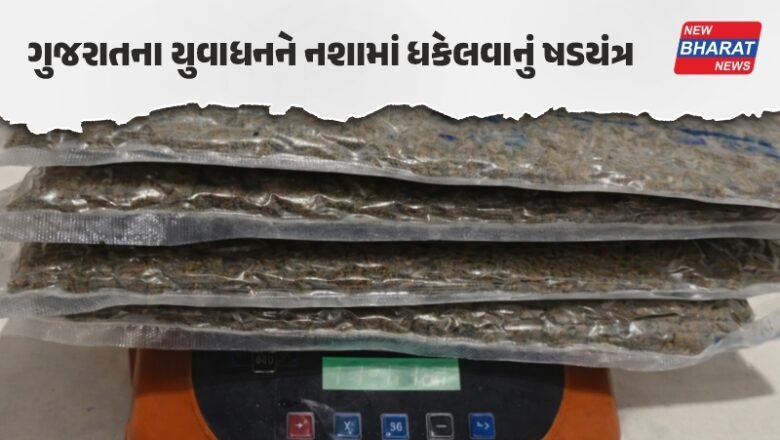 Ahmedabad news: એરપોર્ટથી 12 કરોડના હાઈબ્રીડ ગાંજા સાથે 4 શખ્સો ઝડપાયા