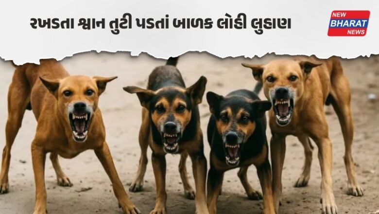 જૂનાગઢ / 6 વર્ષના માસૂમ પર એકસાથે 5 શ્વાન તૂટી પડ્યાં, ગ્રામજનો વિફર્યાં