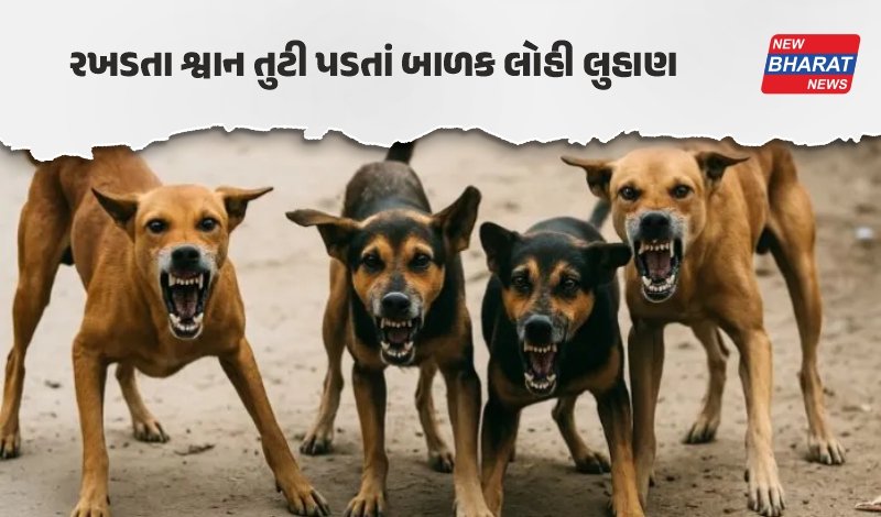 જૂનાગઢ / 6 વર્ષના માસૂમ પર એકસાથે 5 શ્વાન તૂટી પડ્યાં, ગ્રામજનો વિફર્યાં