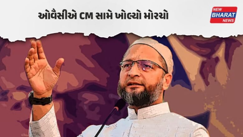 નેશનલ / CM હિમંત બિસ્વા સરમાની ‘ગન વાળી તસવીર’ પર ઓવૈસીએ નોંધાવી FIR, મોટી બબાલ