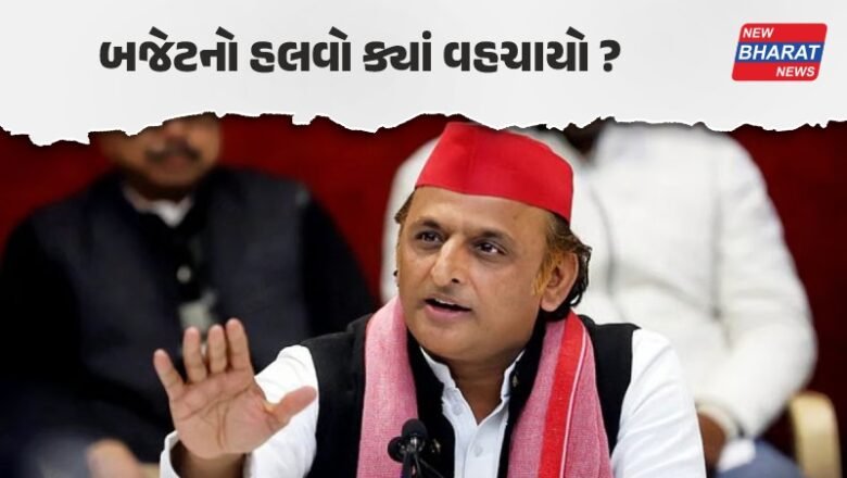 ‘અમેરિકા સાથે ડીલ નહીં ઢીલ થઈ’,અમેરિકા સાથે ટ્રેડ ડીલ અને બજેટ મુદ્દે અખિલેશ યાદવના પ્રહાર