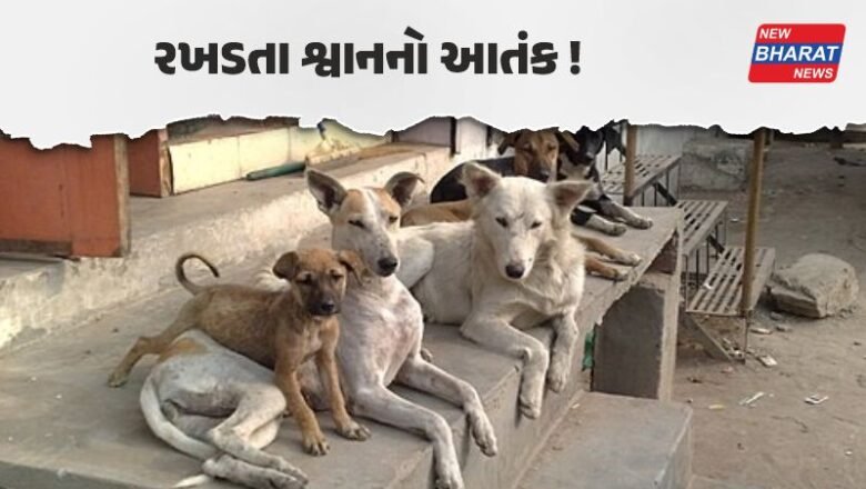 એક જ દિવસે 6 લોકોને ભર્યા બચકા, ચોંકાવનારી ઘટના ક્યાં બની?