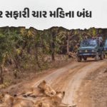 ગુજરાત / સાસણ ગીર અને ગિરનાર સફારી 4 મહિના માટે બંધ, વન વિભાગનો મોટો નિર્ણય
