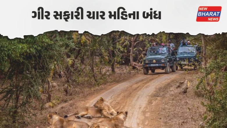 ગુજરાત / સાસણ ગીર અને ગિરનાર સફારી 4 મહિના માટે બંધ, વન વિભાગનો મોટો નિર્ણય