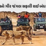 ગુજરાત / સાસણ ગીરના મુલાકાતીઓ માટે મહત્વની જાણકારી, 4 મહિના બંધ રહેશે સફારી