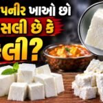 ગુજરાત / તમે જે પનીર ખાઓ છો તે અસલી છે કે નકલી? ઘેર બેઠા આ સરળ રીતથી કરો ઓળખ